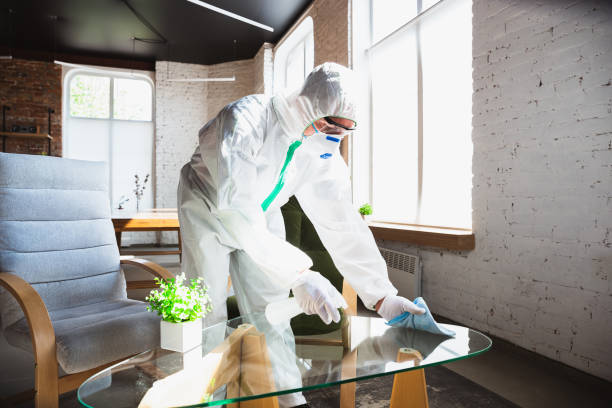 Reliable Silver Ridge, NJ Mold Removal Solutions